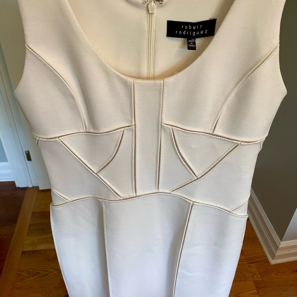 NWT Robert Rodriquez dress is stunning!